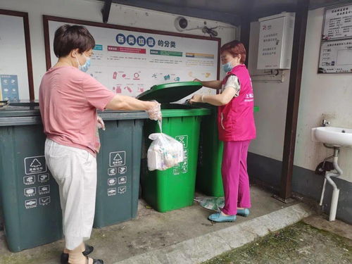 垃圾分類“十百千”行動 讓城市更文明，生活垃圾經營服務再升級