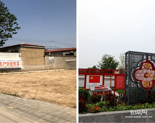 小屯村的美麗蛻變 垃圾不落地，農村更宜居